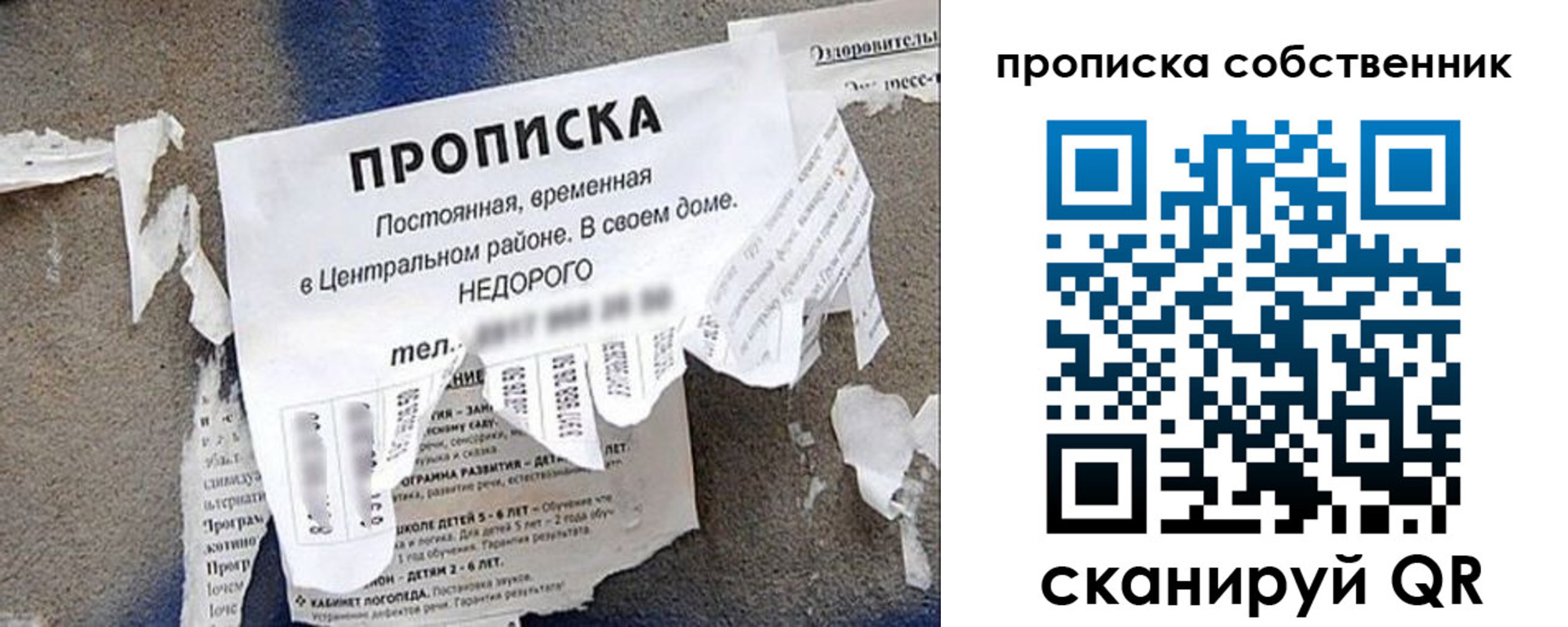регистрация в Полярных Зорях
